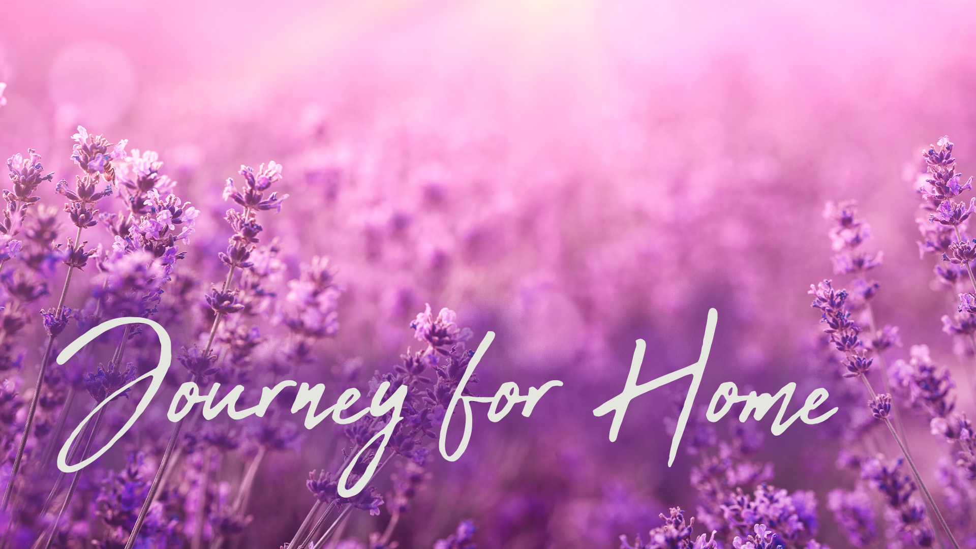 Journey Home Overall Theme